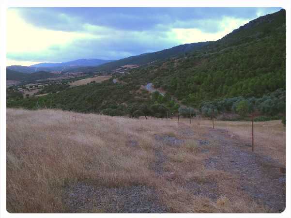 Camino de las Huertaschicas 